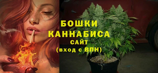 хмурый Бронницы